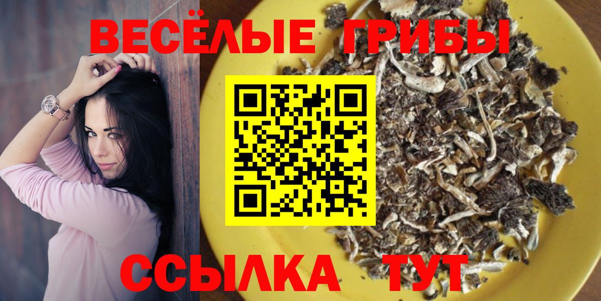 Мончегорск  Псилоцибиновые грибы мухоморы  Галлюциногенные грибы Cubensis  Вход с VPN 