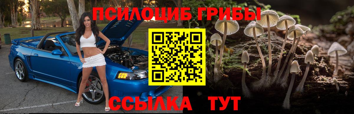 Галлюциногенные грибы мицелий Мончегорск